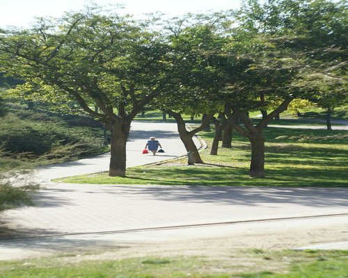 A morning walking routine through a quiet residential neighborhood park area